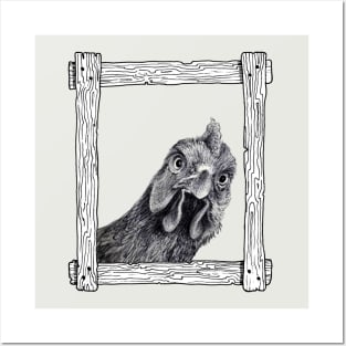 Funny Chicken in a Frame Posters and Art